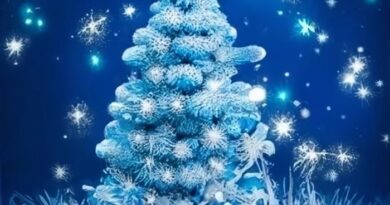 Blue and silver christmas tree decoration ideas