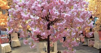 Cherry blossom tree for decoration