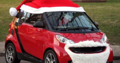 Car with christmas tree decoration