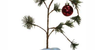 Charlie brown christmas tree decoration