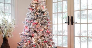 Christmas decoration tree ideas