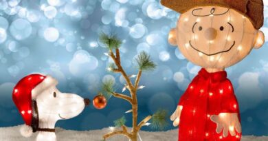 Charlie brown christmas tree door decoration