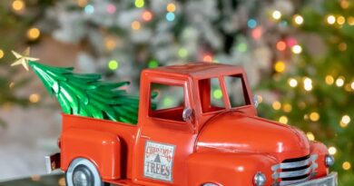 Christmas decoration truck with tree