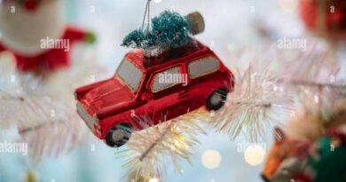 Car with christmas tree on top decoration