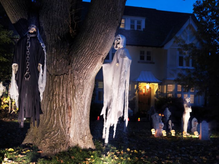 Body hanging from tree mistaken for halloween decoration