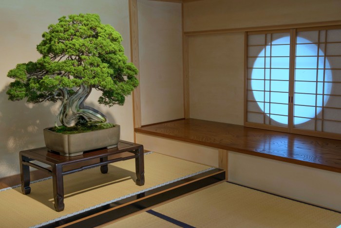 Bonsai tree for home decoration