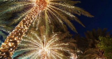 Christmas palm tree door decoration