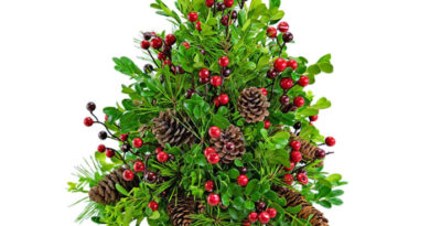 Boxwood christmas tree decoration