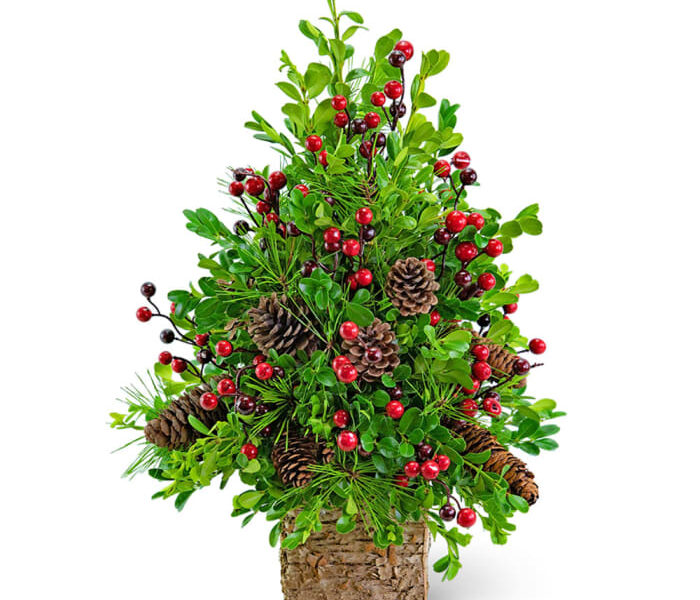 Boxwood christmas tree decoration