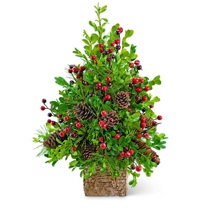 Boxwood christmas tree decoration